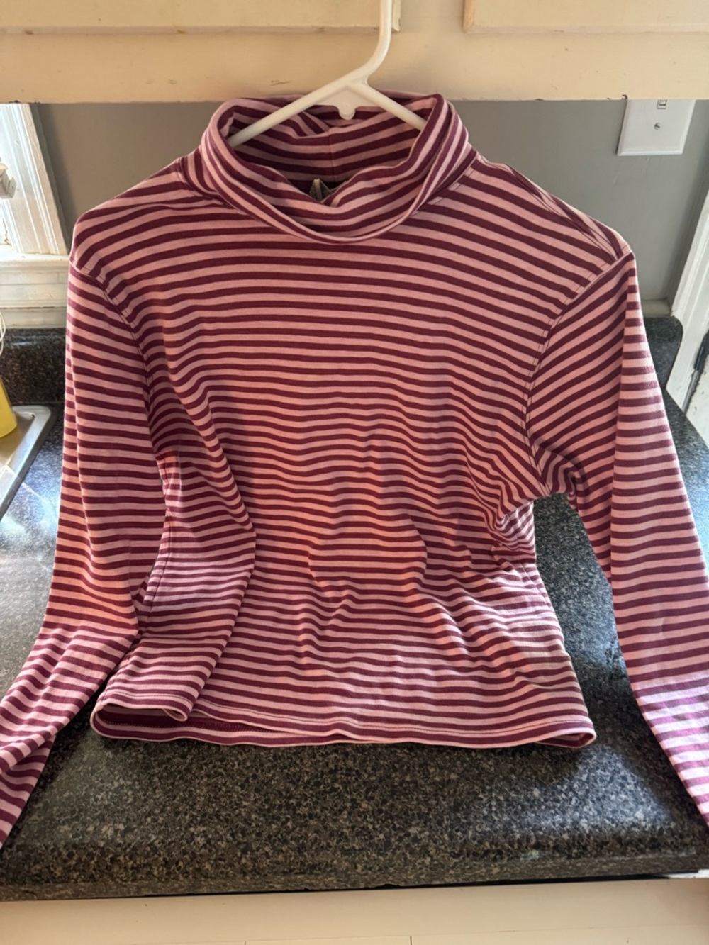 L.L. Bean Pink Striped Turtleneck Long Sleeve Top